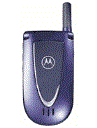 Best available price of Motorola V66i in Peru